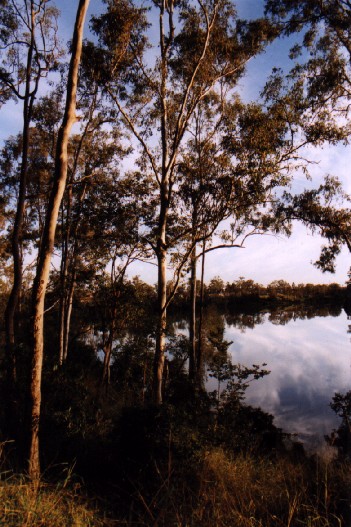 Brisbane River - Riverhills 
<br>
Photo:  Robert Downie  - May 2001 (EOS 300) 