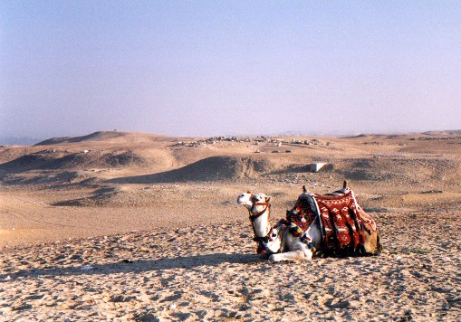 cairo04.jpg