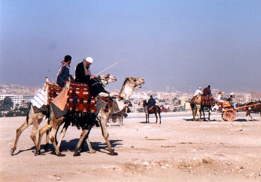 Great Pyramid of Cheops -  Giza Plateau
<br>
Photo: Robert Downie - February 2001 (EOS 300) 