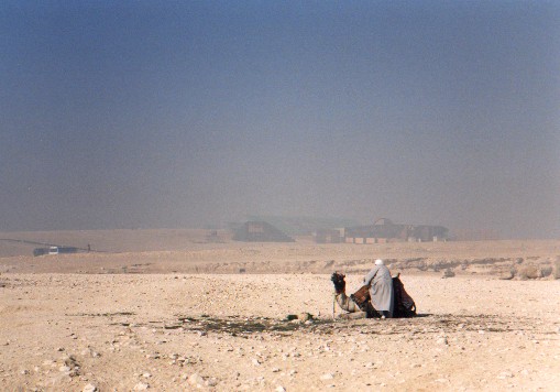 Giza Plateau
<br>
Photo: Robert Downie - February 2001 (EOS 300) 