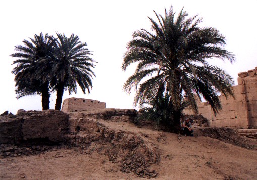 Temples of Karnak 
<br>
Photo: Robert Downie - February 2001 (EOS 300) 