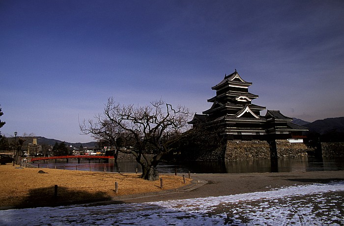 matsumoto001.jpg
