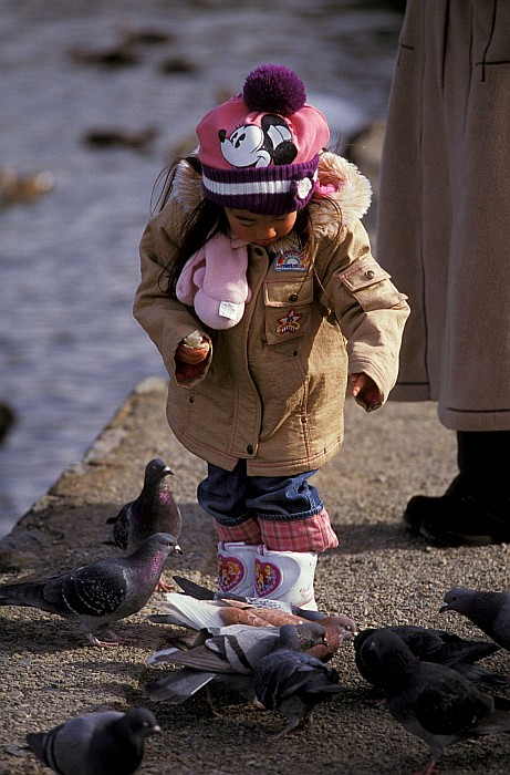 Matsumoto Castle
<br>
Photo: Robert Downie - January 2006 (EOS 300)