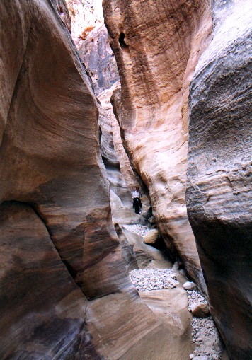 jordan08.jpg