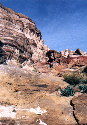 jordan09.jpg