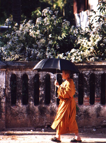 Monk  - Luang Phabang
<br>
Photo: Robert Downie - December 2000 (EOS 300) 