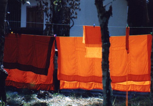 Washing, Lao Style - Wat Wisunalat - Luang Phabang
<br>
Photo: Robert Downie - December 2000 (EOS 300) 