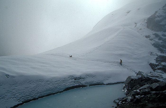 Our guide Hari and a stray dog crossing the Cho La (Chhugyuma) pass (5420m) 
<br>
Photo: Robert Downie - 2004 (EOS 300)