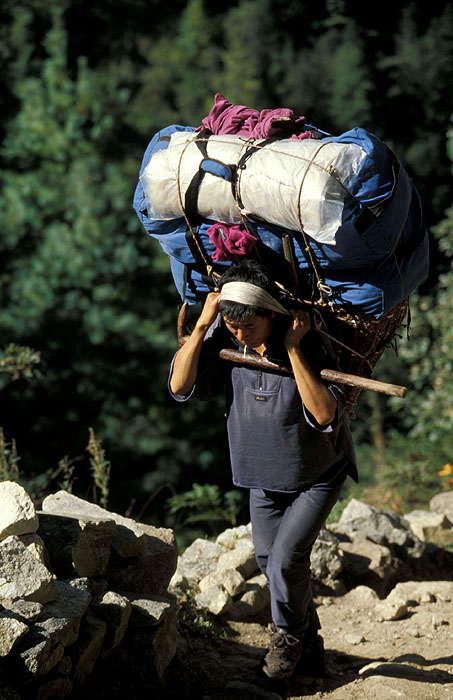 Porter carrying an extremely heave load up the arduous section of track up to Namche Bazaar
<br>
Photo: Robert Downie - 2004 (EOS 300)