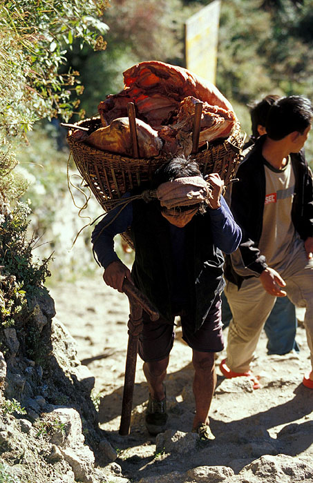 Porter carrying meat up the trail to Namche Bazaar (3440m)
<br>
Photo: Robert Downie - 2004 (EOS 300)