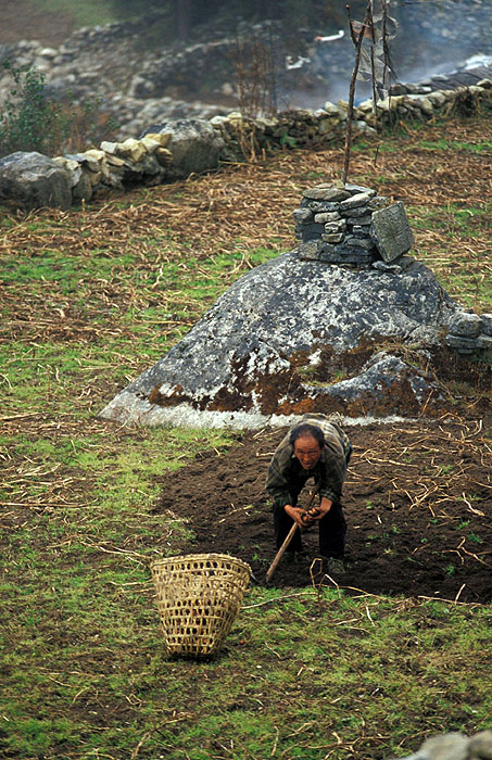 Man working the fields - Thamo 
<br>
Photo: Robert Downie - 2004 (EOS 300)