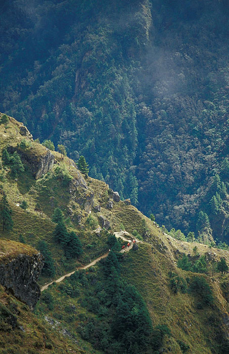 The trail out of Namche Bazaar 
<br>
Photo: Robert Downie - 2004 (EOS 300)