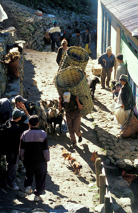 Cock fighting in the street - Namche Bazaar (3440m).
<br>
Photo: Robert Downie - 2004 (EOS 300)