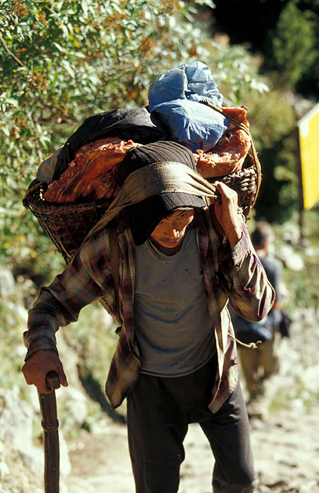 Porter carrying meat up to Namche Bazaar (3440m)
<br>
Photo: Robert Downie - 2004 (EOS 300)