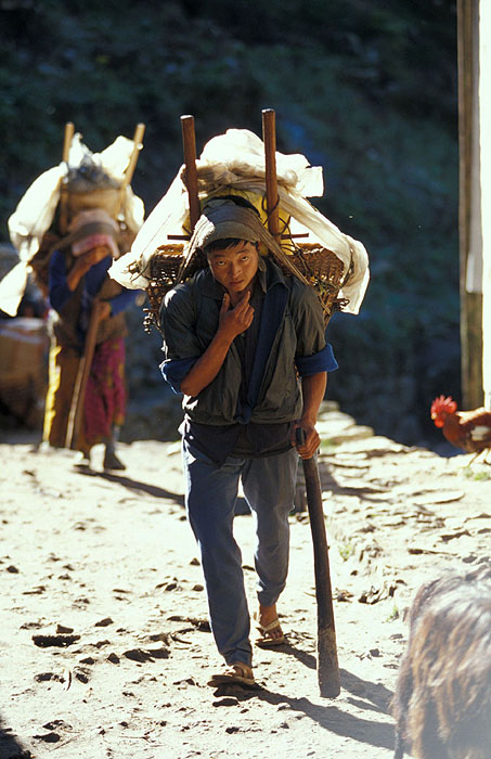 Porter with only a few hundred meters left to Namche Bazaar (3440m)
<br>
Photo: Robert Downie - 2004 (EOS 300)