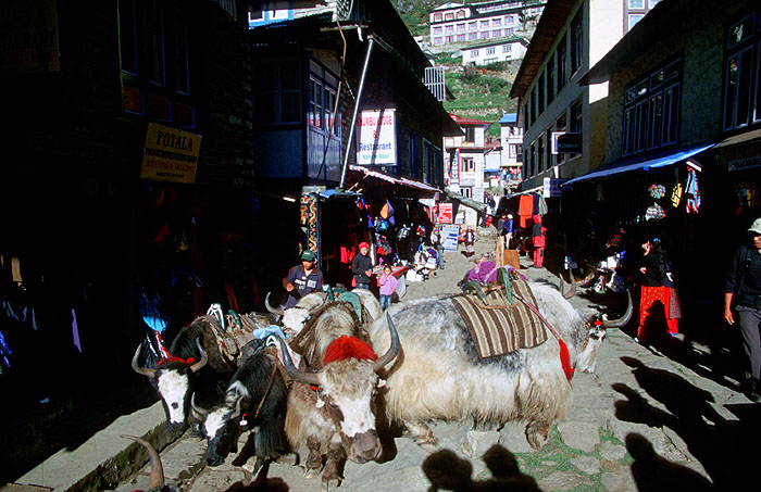 Namche Bazaar (3440m).
<br>
Robert Downie - 2004 (EOS 300)