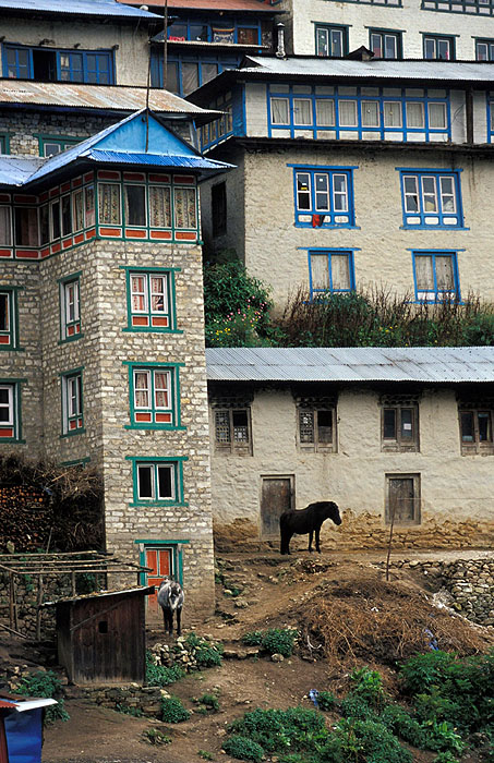 Tiny Horses - Namche Bazaar (3440m)
<br>
Robert Downie - 2004 (EOS 300)