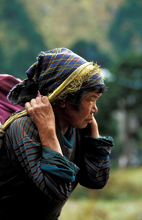Old lady porter with a heavy load - Tengboche Monastery 
<br>
Photo: Robert Downie - 2004 (EOS 300)