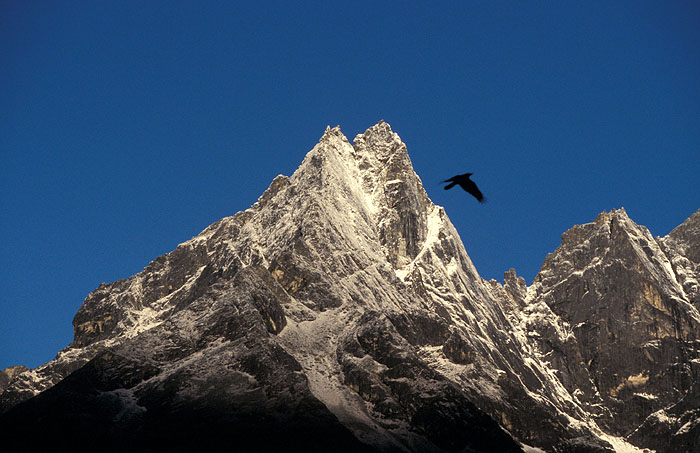 Khumbi Yul Lha (5761m) at sunrise - Raven in the foreground of the holy mountain - Tengboche
<br>
Photo: Robert Downie - 2004 (EOS 300)