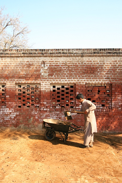 University Cattle Farm - Faisalabad
<br>
Photo: Robert Downie - Feb 2007 (EOS 400D)