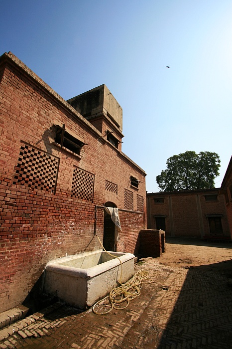 University Cattle Farm - Faisalabad
<br>
Photo: Robert Downie - Feb 2007 (EOS 400D)