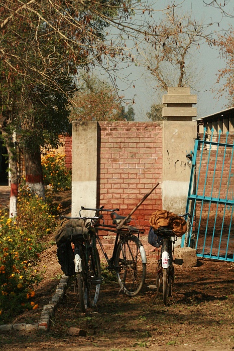 University Cattle Farm - Faisalabad
<br>
Photo: Robert Downie - Feb 2007 (EOS 400D)