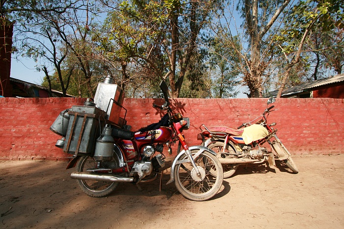 University Cattle Farm - Faisalabad
<br>
Photo: Robert Downie - Feb 2007 (EOS 400D)