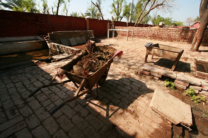 University Cattle Farm - Faisalabad
<br>
Photo: Robert Downie - Feb 2007 (EOS 400D)