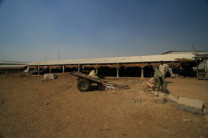 Buffalo Shed - Cattle Colony - Karachi
<br>
Photo: Robert Downie - Feb 2007 (EOS 400D)