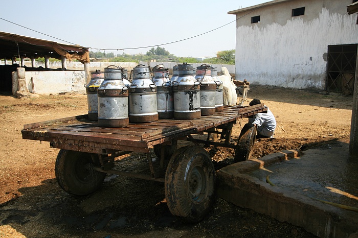 Milk Van - Cattle Colony - Karachi
<br>
Photo: Robert Downie - Feb 2007 (EOS 400D)