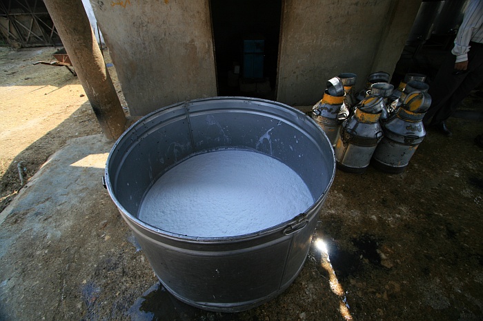 Fresh Buffalo Milk - Cattle Colony - Karachi
<br>
Photo: Robert Downie - Feb 2007 (EOS 400D)