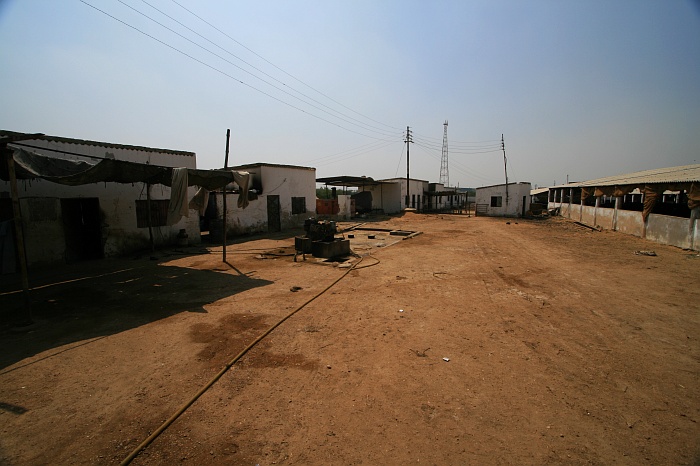 Cattle Colony - Karachi
<br>
Photo: Robert Downie - Feb 2007 (EOS 400D)