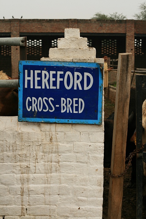 Okara Research Centre
<br>
Photo: Robert Downie - Feb 2007 (EOS 400D)