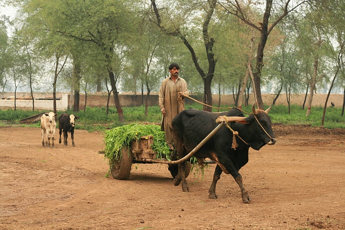 Okara Research Centre
<br>
Photo: Robert Downie - Feb 2007 (EOS 400D)