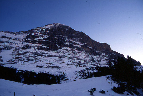 Looking up to the impressive face of the Eiger (3970m)
<br>
Photo: Robert Downie - January 2002 (EOS 300) 