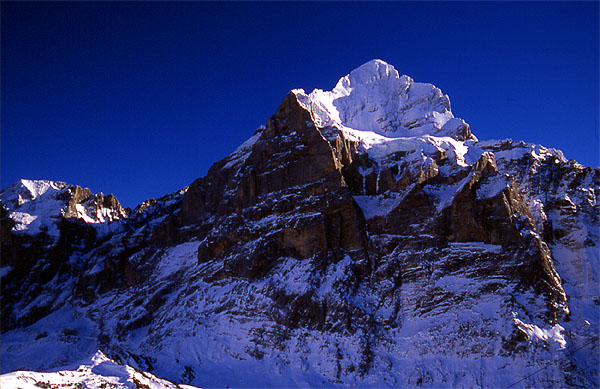 The Wetterhorn (3701m)
<br>
Photo: Robert Downie - January 2002 (EOS 300) 