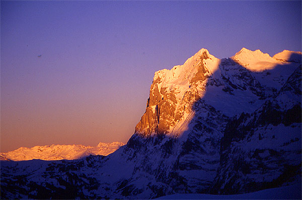 The Wetterhorn (3701m)
<br>
Photo: Robert Downie - January 2002 (EOS 300) 
