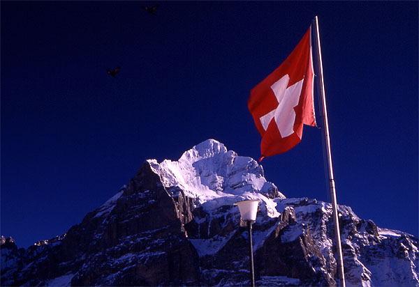 The Wetterhorn (3701m)

Taken from the restaurant at First, notice the two birds in the top left.
<br>
Photo: Robert Downie - January 2002 (EOS 300) 