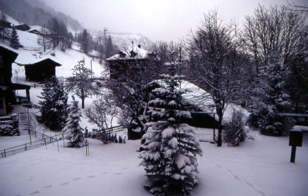 The view out of our room in Gimmelwald (1400m)
<br>
Photo: Robert Downie - January 2002 (EOS 300) 