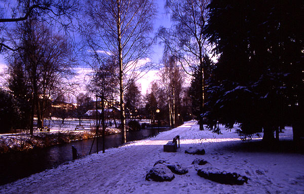 The morning walk to work at the EAWAG
<br>
Photo: Robert Downie - December 2001 (EOS 300) 