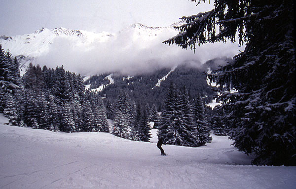 Ady weaving between the trees on the lower slopes - Valbella 
<br>
Photo: Robert Downie - February 2002 (EOS 300) 
