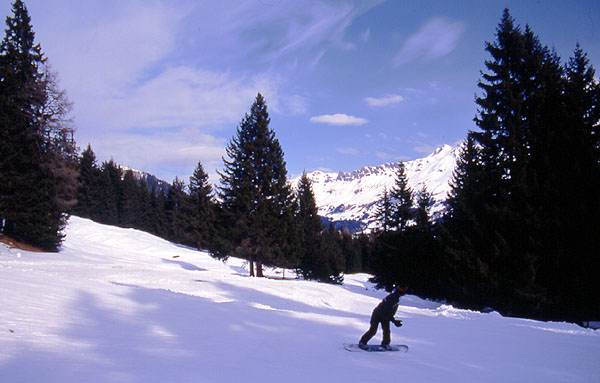 Ady weaving between the trees on the lower slopes - Valbella 
<br>
Photo: Robert Downie - February 2002 (EOS 300) 