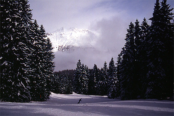 Ady dwarfed by the trees low down on the slopes (Blue 56) - Valbella
<br>
Photo: Robert Downie - February 2002 (EOS 300) 