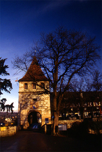 Rhine1.jpg