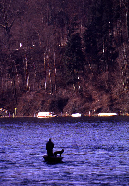 Rhine16.jpg