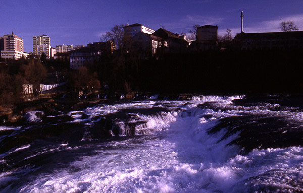 Rhine3.jpg