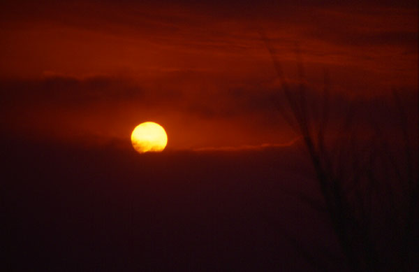 Sunset on Monte Br� - Lugano
<br>
Photo: Robert Downie - December 2001 (EOS 300) 
