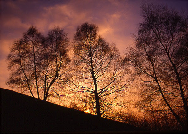 Sunset on Monte Br� - Lugano
<br>
Photo: Robert Downie - December 2001 (EOS 300) 