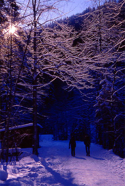Light breaking through the snow drenched landscape as we walk in towards the ice climbing area - Toesstal
<br>
Photo: Robert Downie  - January 2002 (EOS 300) 