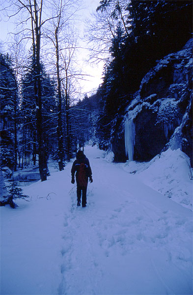 The walk into the valley - Toesstal
<br>
Photo: Robert Downie - January 2002 (EOS 300) 
